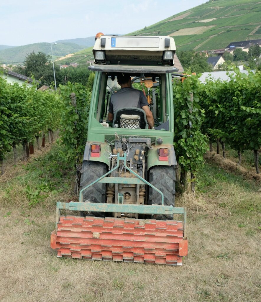 Tracteur dans les rangs de vigne