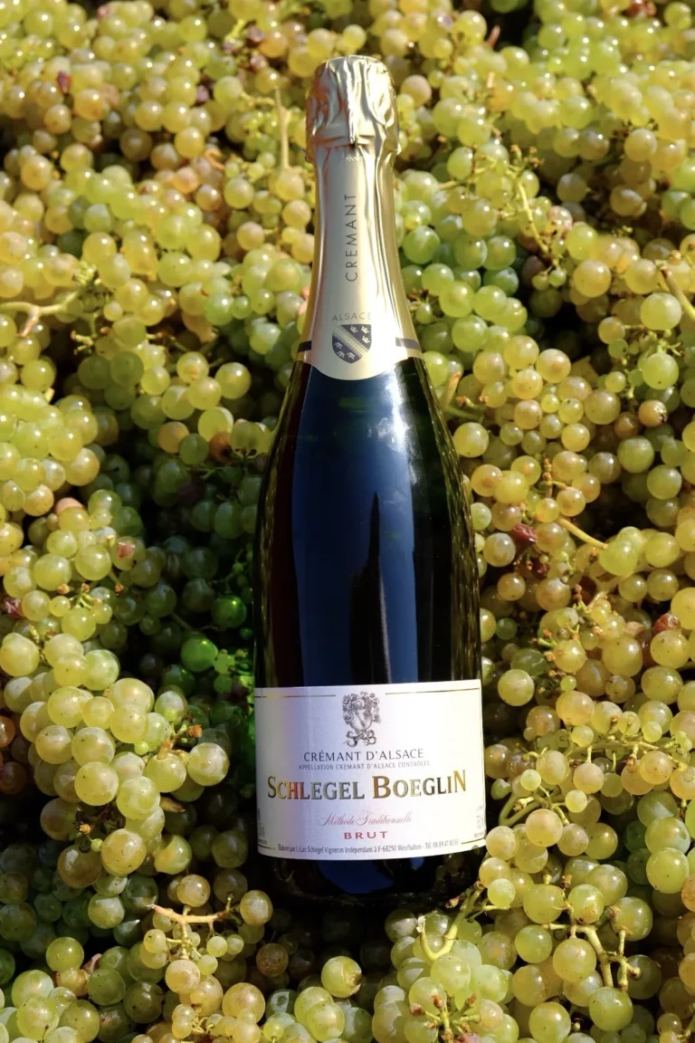 Bouteille de vin entre des grappes de raisin blanc