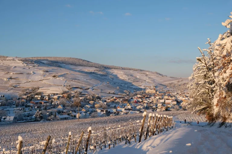 Village et vignoble sous la neige