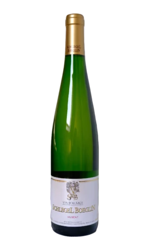 Bouteille de Muscat — Appellation Alsace, Domaine Schlegel Boeglin