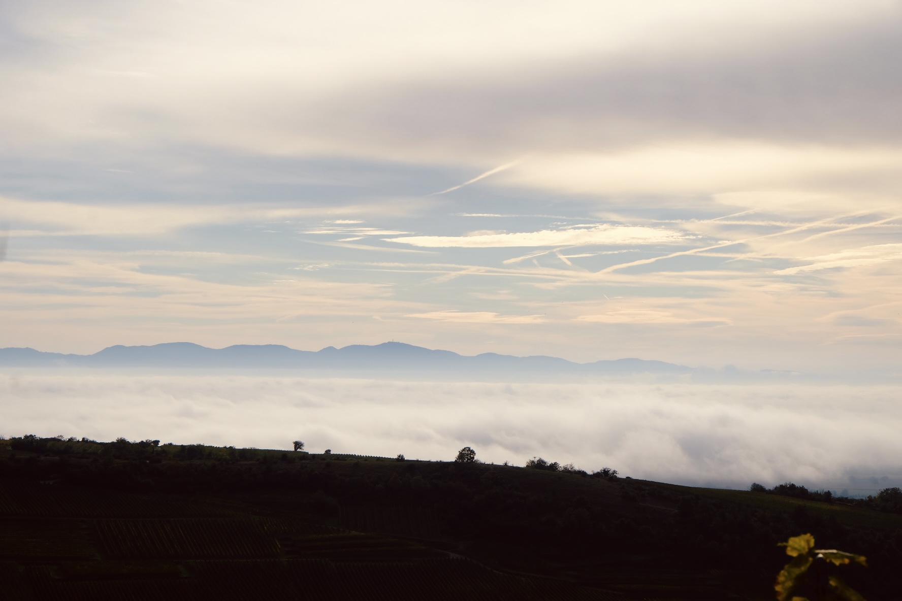 Brume sur la plaine d’Alsace vue depuis les vignes, au loin les Vosges